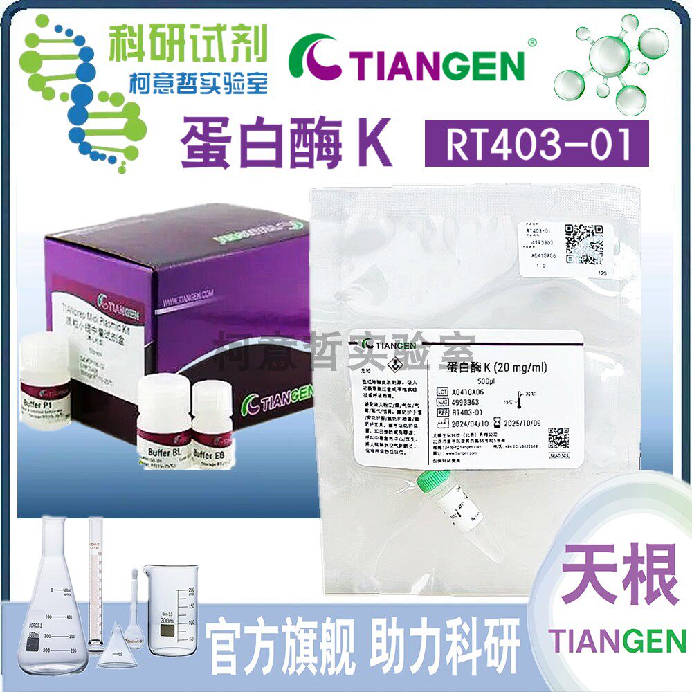 蛋白酶K 蛋白酶K溶液 Proteinase K (RT403)【天根试剂盒配套】
