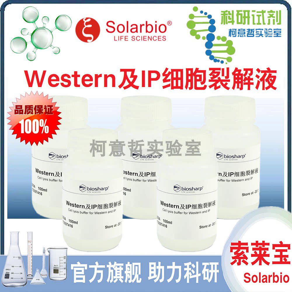 Western及IP细胞裂解液 100mL (制备蛋白样品细胞裂解液)[索莱宝]