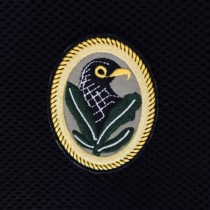 German blocker Edelweiss armband cloth patch embroidered label sticker Eagle velcro commemorative badge