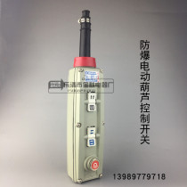 Electric hoist explosion-proof handle switch button BAK31-4K crane driving explosion-proof control button spot
