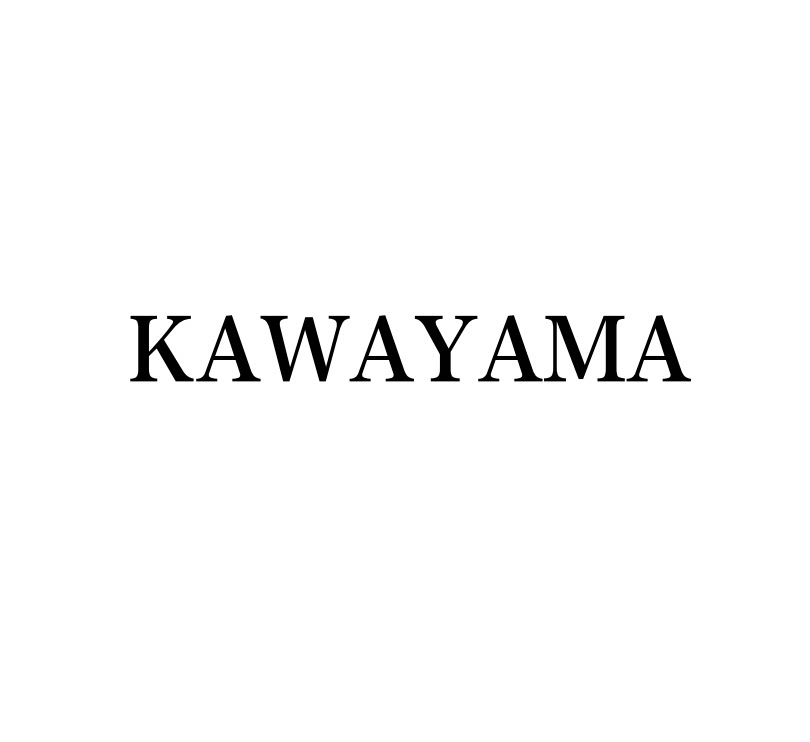 KAWAYAMA户外店