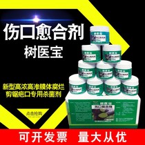 Wound Healing Agent Apple Tree Wood Trunk Plant Branches Bonsai Orchid Tree Stumps Flowers Graft Closure Healing Agents