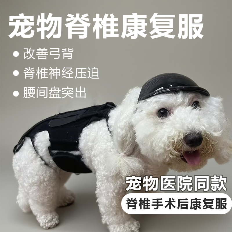 Dog Spinal Fixation Pet Spinal Rehabilitation Clothing Dog Intervertebral Disc Herniation Protective Clothing Support Spinal Correction Clothing Dog Spinal Fixation Pet Spinal Rehabilitation Clothing Dog Intervertebral Disc Herniation Protective Clothing Support Spinal Correction Clothing