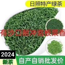 Rizhao green tea 2024 new tea Rizhao special grade 500g chestnut fragrant spring tea bulk fried green beans fragrant and durable