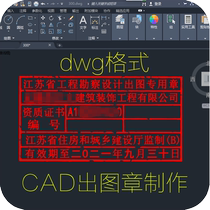 CAD Electronic Stamp registration confirmation chapter dwg format logo production design generation painting Enterprise Review chapter trademark