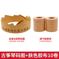 Гугхенг D -код диаграмма кода+10 рулона ленты (цвет кожи)