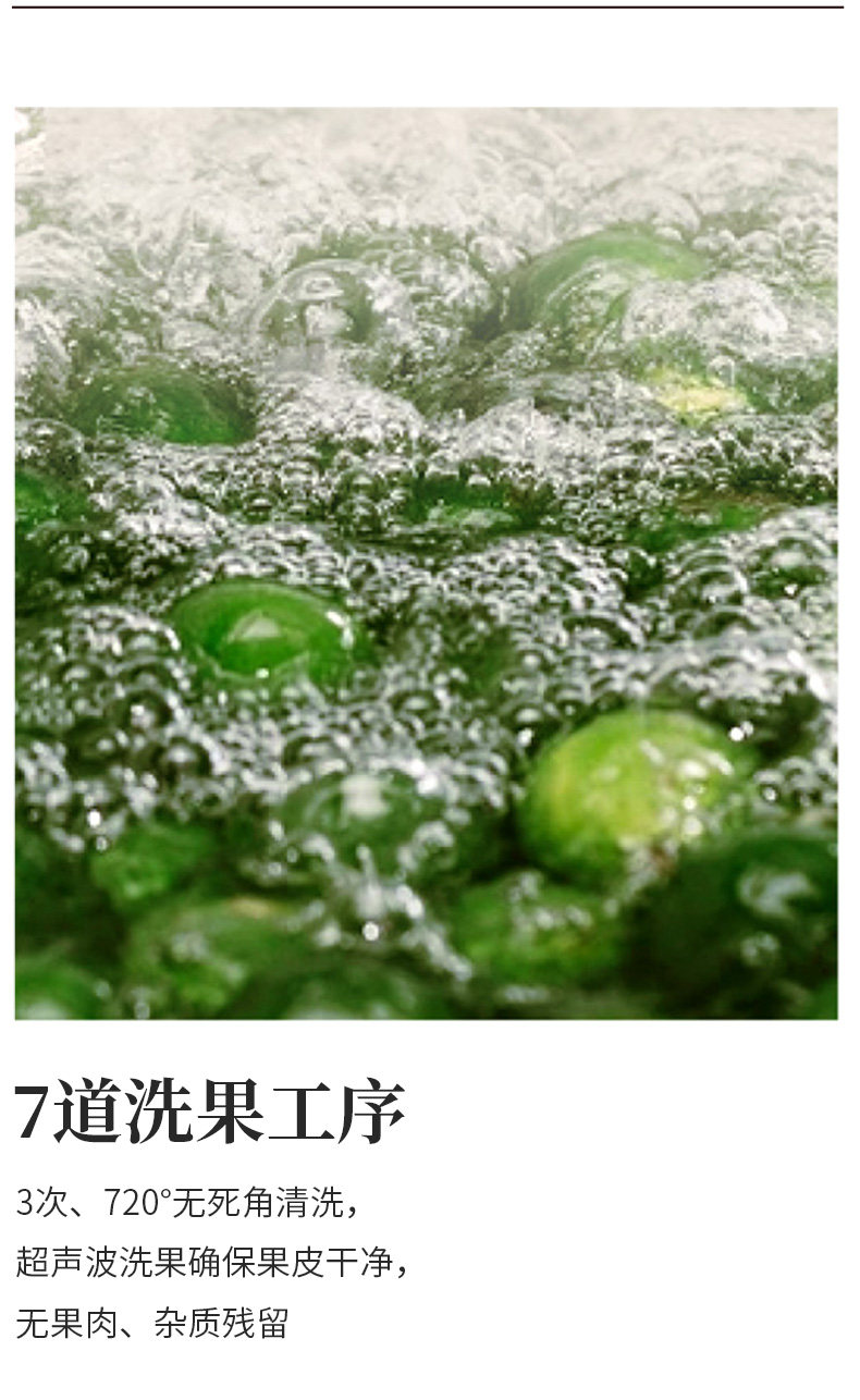 四国有机认证 芯仙茗堂 新会小青柑 桔普茶 250g 图7