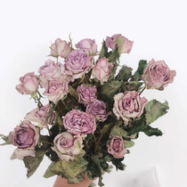 Purple multi-headed rose rose dried flower bouquet natural dried flowers Home flower arrangement decoration DIY shooting props