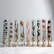 Glass Test Tube Dried Flower Bouquet Immortalized Flower Plant Specimen Wishing Vase Decorative Ornament Birthday Christmas Gift