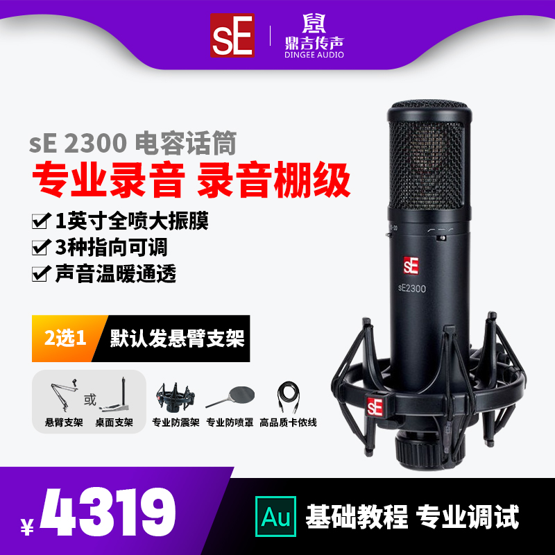 sE 2300 large-diaphragm multi-directional condenser microphone dedicated recording studio live equipment computer sound card microphone