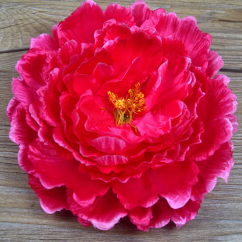 Peony Flower Headdress for Children's Dance Performance Props, Hand-Held Flower for Square Dance, Head Flower for Photo Studio