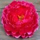 Headgear children's hand-held flower square dance performance props