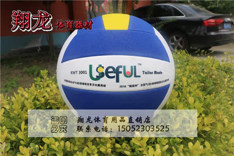 Ballon de volley-ball - Ref 2013150 Image 10