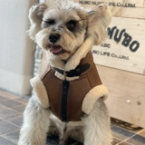 Одежда для домашних животных, осенне-зимний утепленный жилет из кожи для щенков шнауцера, Тедди, померанского шпица йоркширского кота