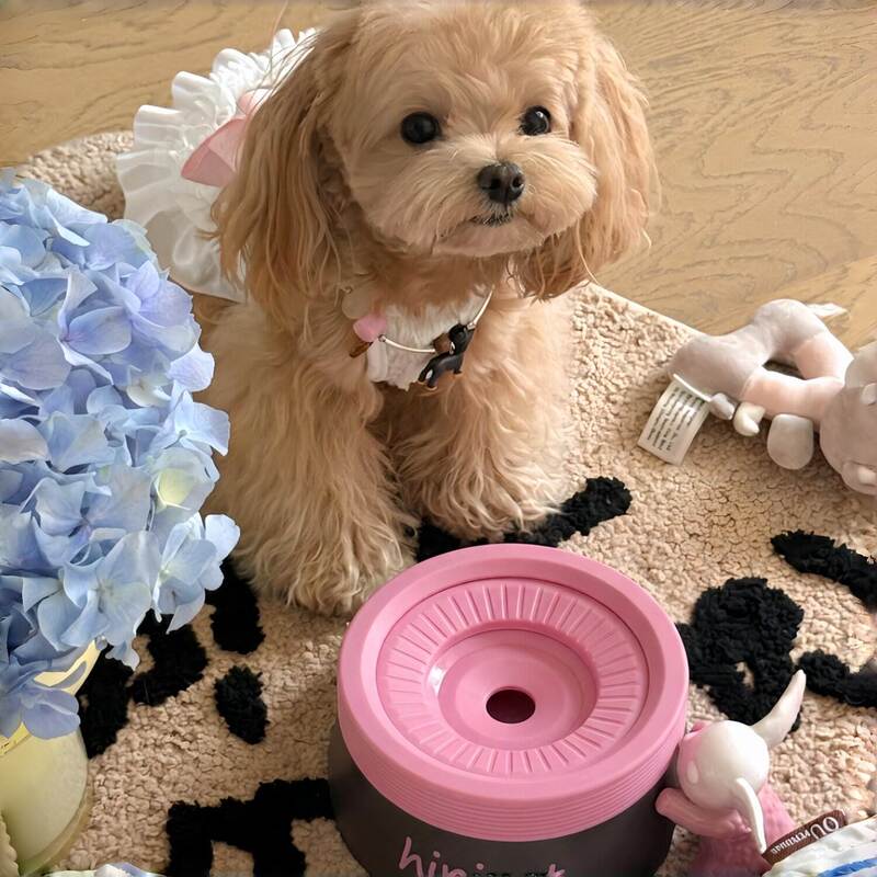 Floating Water Bowl Pet Water Bowl Dog Drinking Bowl Non-Wet Mouth Pet Supplies Drinking Bowl Universal for Large and Small Cats Floating Water Bowl Pet Water Bowl Dog Drinking Bowl Non-Wet Mouth Pet Supplies Drinking Bowl Universal for Large and Small Cats