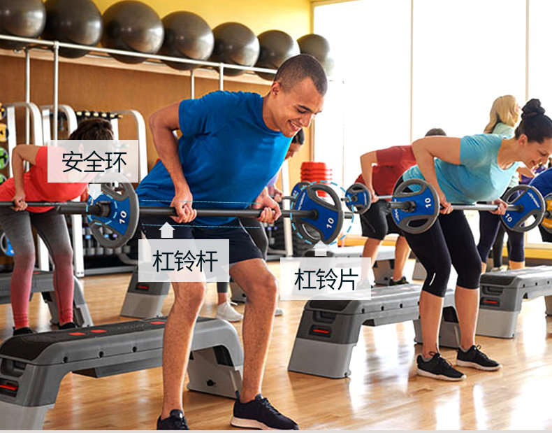力健 LifeFitness 专业杠铃片 1.25kg 单片装 图1