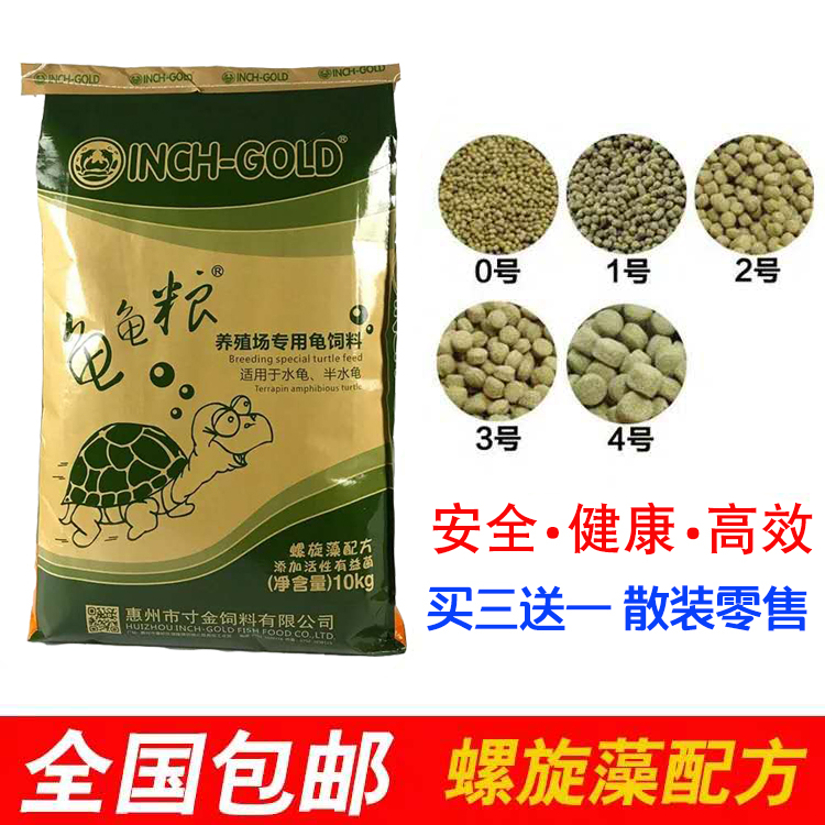 Inch Gold Turtle Feed Turtle Food Turtle Feed Stone Gold Money Tortoise Turtle Stock Turtle Basil Bulk Universal Turtle Grain
