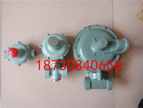 RTZ-H Gas Pressure Regulator Natural Gas Pressure Reducing Valve Air Liquefied Gas Artificial Gas Pressure Stabilizer Valve