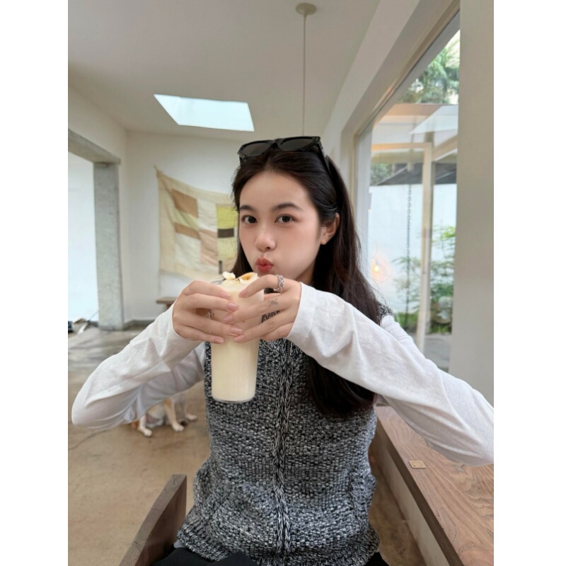 Placeorder Retro Old Money Style Gray High-Neck Sleeveless Knitted Vest for Women, Autumn Lazy Style Layered Vest