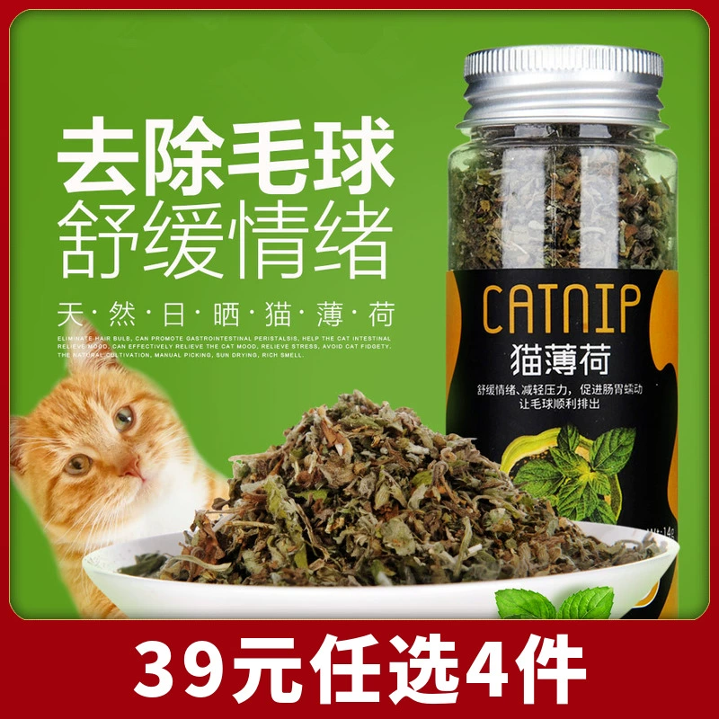 Catnip bột mèo tẩy lông bóng mèo trẻ giúp tiêu hóa ăn cỏ cỏ mèo mèo mèo ăn vặt mèo - Đồ ăn nhẹ cho mèo