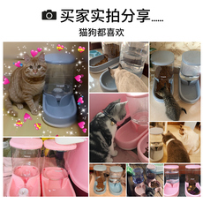 Кормушка с дозатором для кошек и