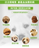 恩倍多 Собака собака собака собака собака водит педант собаку собаку, разветвленные маленькие собаки