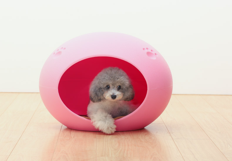 Mèo mèo nhà mèo mèo nhà nhựa chó nhà chó kennel pet tổ mùa đông chó giường mùa đông ấm chó tổ - Cat / Dog hàng ngày Neccessities Bình nước cho chó