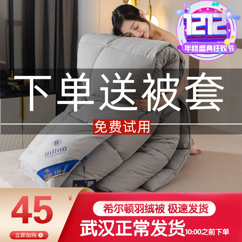 Winter Hilton Hotel down quilt 95 white goose down 4 catties 6 8 catties thickened warm quilt quilt winter quilt core