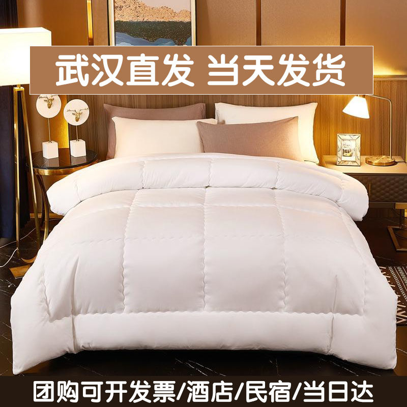 Gift quilt spring and summer quilt core four seasons universal spring and autumn quilt skin-friendly warm air-conditioning quilt summer summer cool quilt