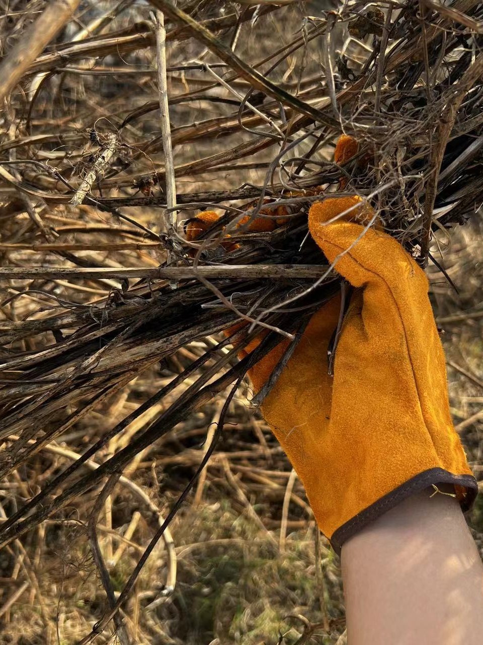 Thickened Cowhide Outdoor Protective Gloves, Heat-Insulating Gloves, Outdoor Gloves, Camping Barbecue Labor Protection Gloves, Wear-Resistant and Anti-Scalding