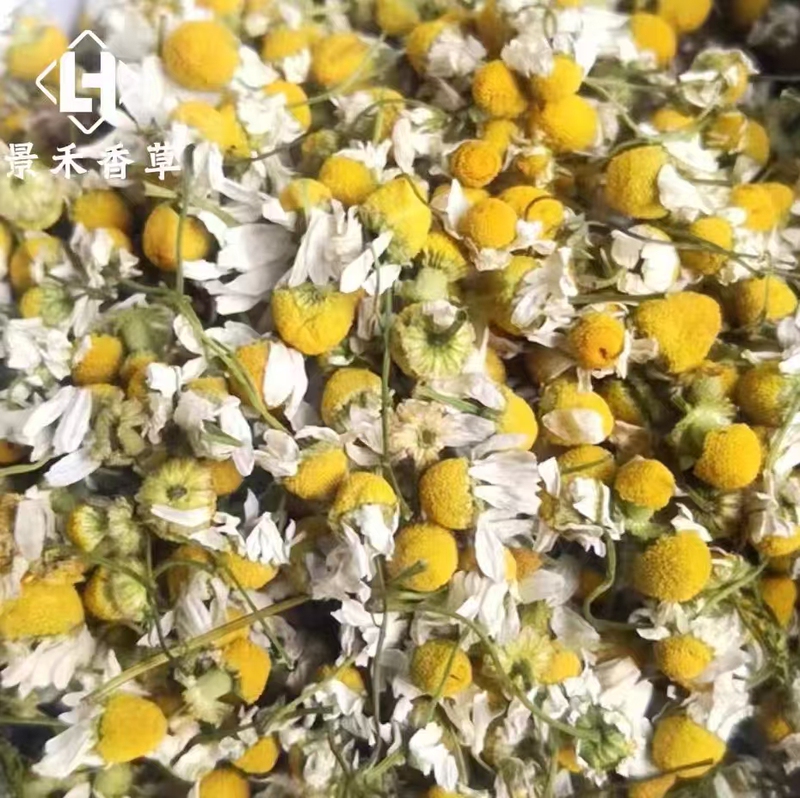 German Chamomile Dried Flowers Soaked in Oil, Chamomile Crushed Flowers 50G/100G/250/500G Free Shipping German Chamomile Dried Flowers Soaked in Oil, Chamomile Crushed Flowers 50G/100G/250/500G Free Shipping