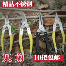 Stainless steel strong garden gardening pruning shears Clearance household labor-saving repair flower construction branch flower scissors tool