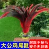Товары от 朝阳体育用品