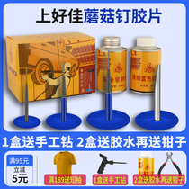 Good Canon Mushroom Nails TIRE FILM CAR TIRE VACUUM TIRE COLD PATCH RUBBERIZED FILM GLUE NAIL-plug glue