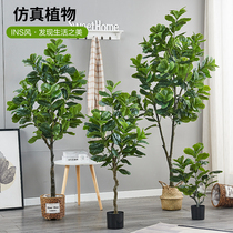 Nordic simulation of the large potted potted potted view bionic green plant room decorated fake plant furnishings
