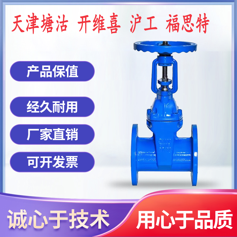 Tianjin Tanggu Valve Z41X-16Q Soft Seal flange Flange Gate Valve, Shanghai Work Fuath Principal valve 