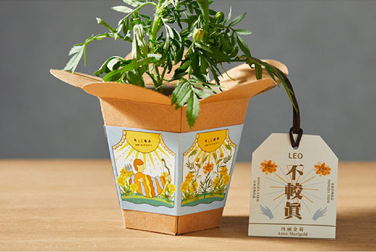 家里少了生机,一定是缺了这样东西4