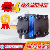 Elm hydraulic column pin vane pump PFE-31016 31022 31028 31036 31044-1DT