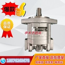 Pike hydraulic gear pump GM5-5 6 8 10 12 12 20 20 25-1FE13F-20R L High speed motors