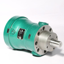 Pin Qidong Hengyu 2 5 5 10 25 40 63 80 100 160 250MCY14-1B axial piston pump