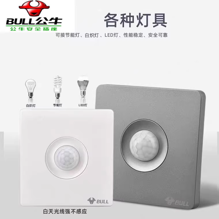 Bull Human Body Induction Switch Gangway Stairway Infrared Stairs Second-line High-power Adjustable Inductive Switch 220v-Taobao