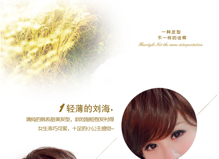 Perruque OTHER   cheveux courts - Ref 2613665 Image 18