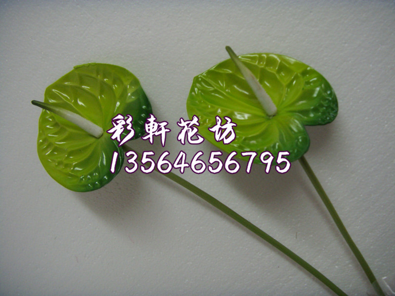 5 gói mô phỏng anthurium mô phỏng cọ xanh hoa giả hoa lụa cao cấp hoa nhựa hoa flamingo hoa Anzu - Hoa nhân tạo / Cây / Trái cây hoa hồng giả đẹp