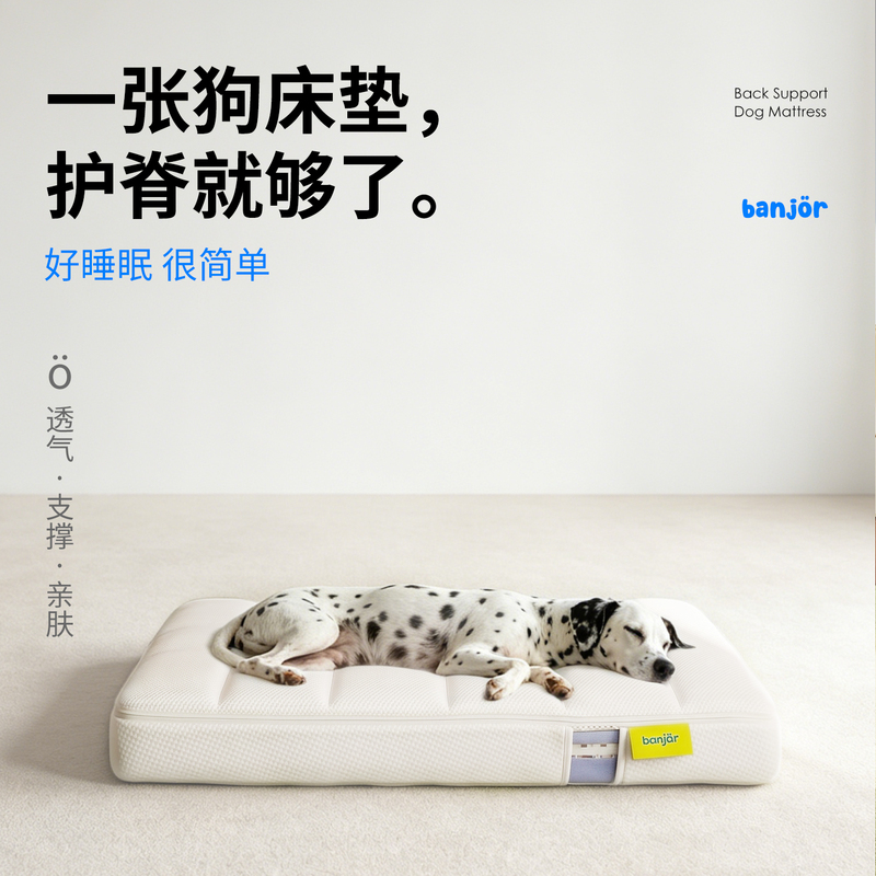 Banjor Pet Spine Protection Mattress with Effective Support, Antibacterial and Anti-Mite Fabric, Spring Sponge Mattress for Dogs
