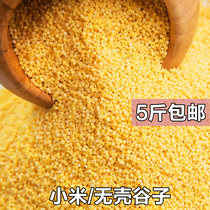 Shellless millet Pearl bird tiger skin Parrot bird food bird feed egg millet raw material 250g