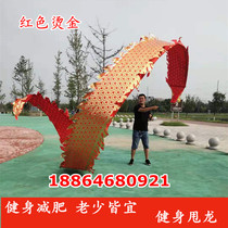 Square dance fitness dragon dance Dragon Dance Sports Dragon Dragon Dragon Dragon ribbon ribbon Dragon Dragon Silk Satin