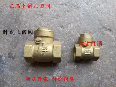 Water pipe brass horizontal check valve PPR check valve inlet water anti-reverse flow valve DN32 40 50