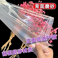 100 скраббег на спине