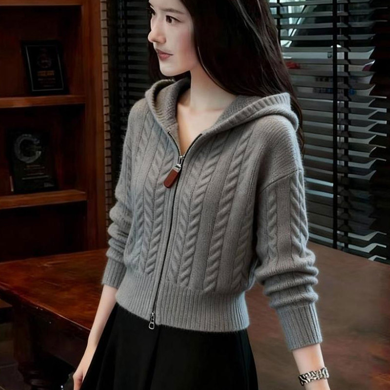 Zipper Knit Hoodie 2026 Spring New Fashion Youthful Lazy Style Sweater Short Long-Sleeved Top Women's Clothing