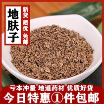 Full 1 piece of ground skin seeds 500 grams of Chinese herbal medicine ground kwai thousand heads ground wheat iron broom seeds